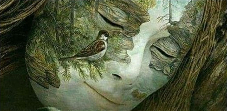 آپ کو اس تصویر میں سب سے پہلے کیا نظر آیا؟