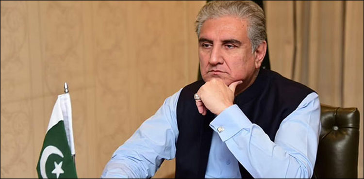 پولنگ اسٹیشنز کا دورہ: الیکشن کمیشن کا شاہ محمود قریشی کو نوٹس