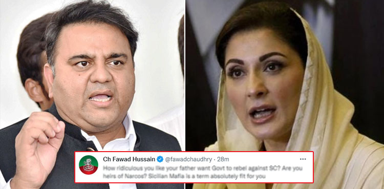 فواد چوہدری نے مریم نواز کی خواہش کو مضحکہ خیز قرار دے دیا