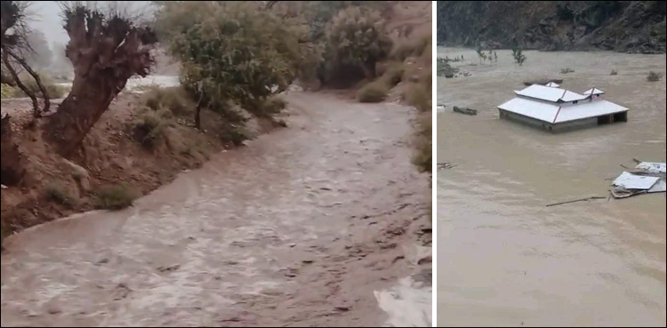 خیبر پختون خوا اور سندھ کے مختلف علاقوں میں سیلابی ریلوں نے تباہی مچا دی