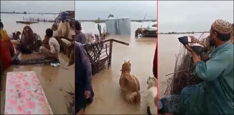 ملک بھر میں سیلاب کے باعث ہلاکتیں: این ڈی ایم اے کی رپورٹ جاری