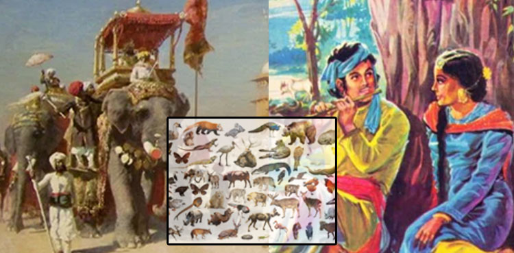 شعر و ادب میں‌ عاشقوں اور بادشاہوں کے علاوہ جانوروں اور پرندوں کا حصّہ