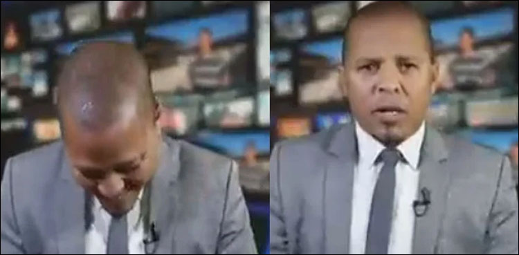 نیوز اینکر خبریں پڑھتے ہوئے بے ساختہ ہنس پڑا