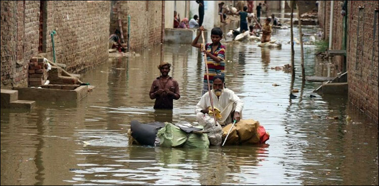دادو میں پولنگ اسٹیشنز زیر آب آگئے، بلدیاتی انتخابات ملتوی کرنے کی سفارش