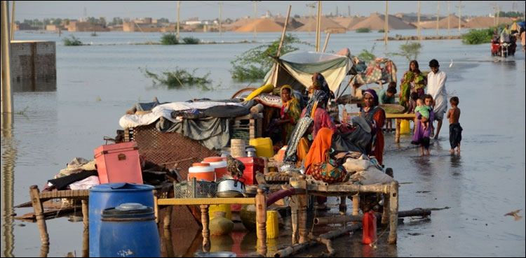 کیا پاکستان کے کلائمٹ متاثرین کے نقصانات کا ازالہ ممکن ہے؟