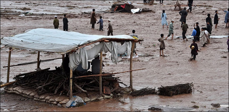 سیلاب سے متاثر ڈیرہ اسماعیل خان اور چترال آفت زدہ قرار