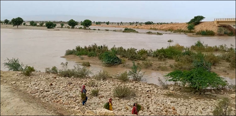 کاچھو میں سیلاب سے سینکڑوں گاؤں ڈوب گئے: ’بارش نہ ہو تو تکلیف، ہوجائے تو دہرا عذاب‘