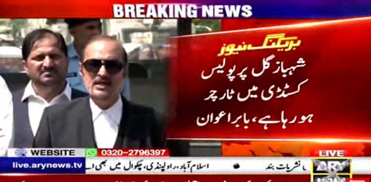 شہباز گل پر پولیس کسٹڈی میں ٹارچر ہو رہا ہے، بابر اعوان