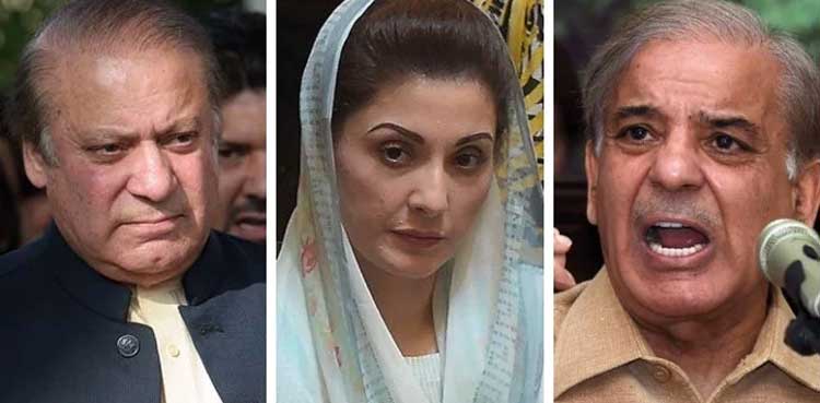 مریم نواز، نوازشریف اور  شہباز شریف کے خلاف مقدمے کی درخواست دائر