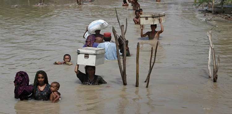 سندھ میں‌ بارشوں‌ اور سیلاب سے 1 کروڑ کے قریب لوگ متاثر
