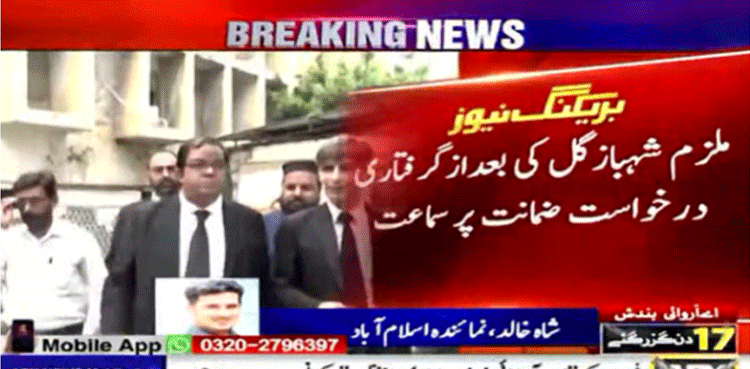 شہباز گل کی درخواست ضمانت ، پولیس کو کل تک ریکارڈ پیش کرنے کا حکم