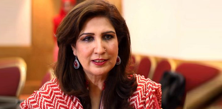 سعید غنی کے بعد  شہلا رضا نے بھی اپنی وزارت سے استعفیٰ دے دیا