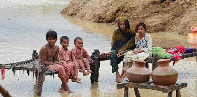 سیلاب سے تباہی:  سعودی عرب کا پاکستان سے  اظہار یکجہتی
