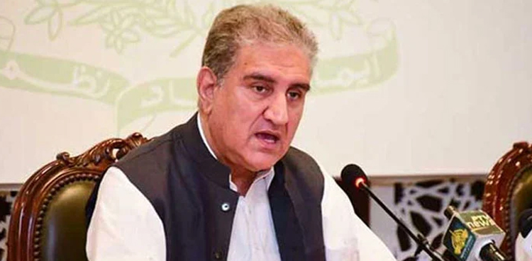 شاہ محمود