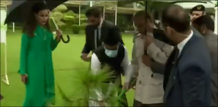 یوم آزادی: شہباز شریف نے وزیر اعظم ہاؤس کے سبزہ زار میں پودا لگایا