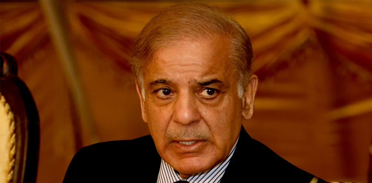 وزیر اعظم کے نگراں سیٹ اپ سے متعلق بیان پر آئی پی پی کا ردعمل