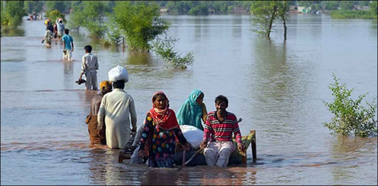 گلوبل وارمنگ کے پاکستان پر اثرات کا معاملہ عالمی فورم پر اٹھانے کا فیصلہ