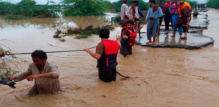 سیلاب زدہ علاقوں میں ڈینگی، ملیریا اور گیسٹرو پھیلنے لگا