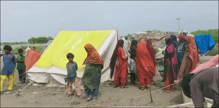 وبائی امراض کا شکار بلوچستان کے سیلاب زدہ علاقوں کے لیے اہم فیصلہ
