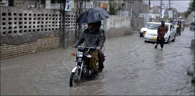 پنجاب میں بارشوں سے کتنی ہلاکتیں ہوئیں؟