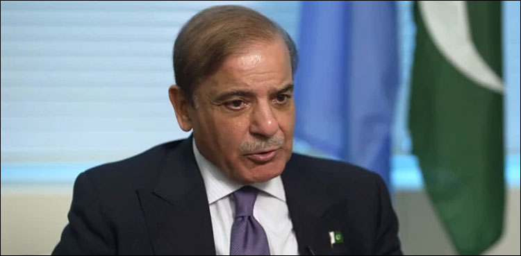 پاکستان کو قرض سے ریلیف کی ضرورت ہے، دنیا کو ساتھ کھڑا ہونا ہوگا: وزیر اعظم