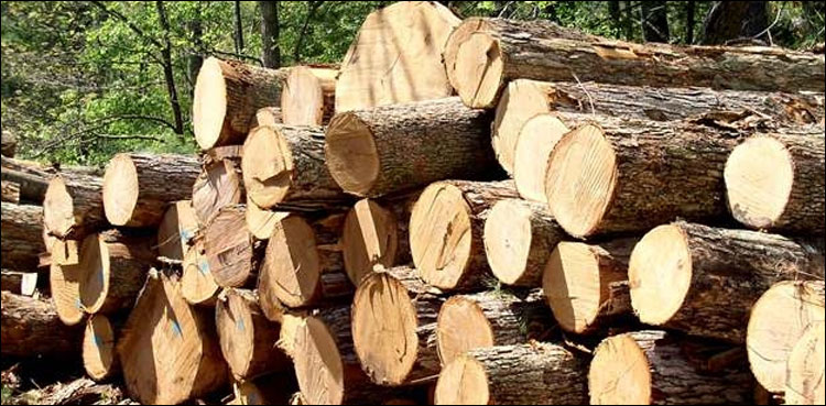 لاکھوں مالیت کی قیمتی لکڑی اسمگل کرنے کی کوشش ناکام