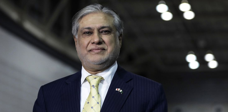 اسحاق ڈار آج شام سینیٹ کی نشست اور کل وزیر خزانہ کے عہدے کا حلف اٹھائیں گے