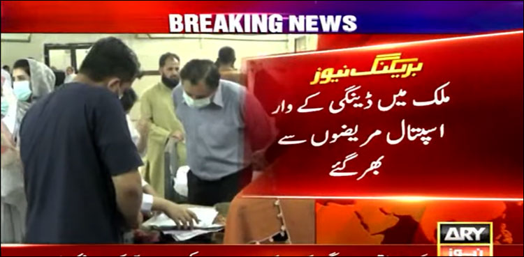 ملک کے مختلف شہروں میں ڈینگی بے قابو، کراچی میں مزید 2 افراد جان کی بازی ہار گئے