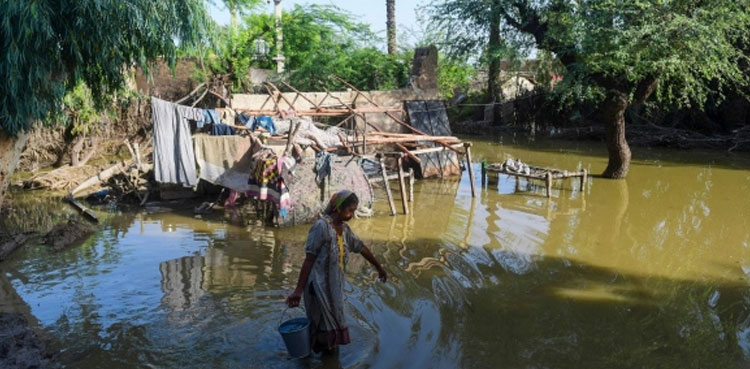 7 ماہ میں سندھ، بلوچستان کے سیلاب زدگان کی مشکلات ختم نہ ہو سکیں