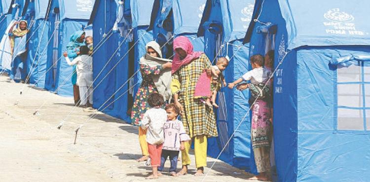 سندھ کے سیلاب متاثرین کے ہاں ایک روز میں 16 بچوں کی پیدائش