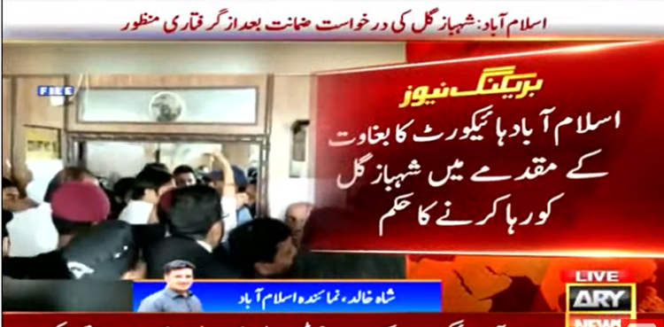 بغاوت  کے مقدمے میں شہباز گل  کی ضمانت منظور ، رہا کرنے کا حکم