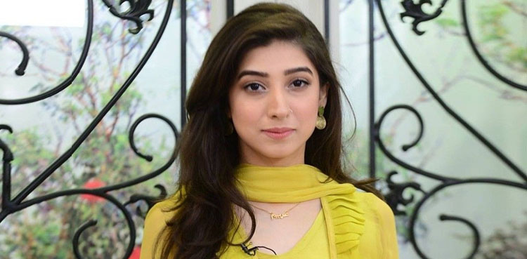 مریم نفیس کا سیلاب متاثرین کے عطیات سے متعلق ویڈیو پیغام