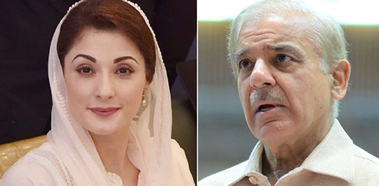 شریف اور مریم نواز کی نئی آڈیو : ‘ہر نیا دن ان لوگوں کو بے نقاب کررہا ہے’
