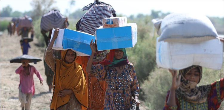 ملیریا کے حوالے سے سندھ کے حساس اضلاع میں مچھر دانیاں تقسیم نہیں ہوئیں: انکشاف