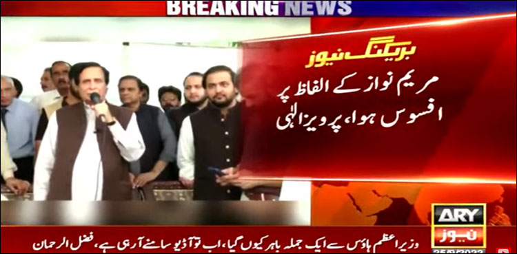 مریم نواز کی آڈیو لیک کے الفاظ پر افسوس ہوا: پرویز الہیٰ