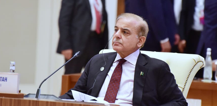 ‘اقوام متحدہ کی جنرل اسمبلی میں دنیا کو سیلاب کے بعد بڑے انسانی المیے سے آگاہ کروں گا’