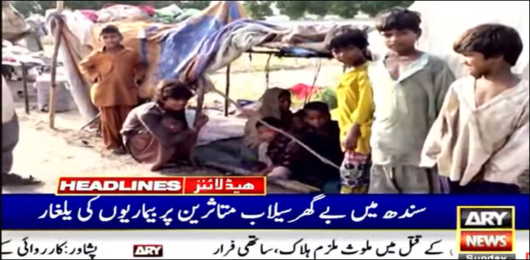 اندرون سندھ کیمپوں میں امراض سے ایک دن میں 6 سیلاب متاثرین کا انتقال
