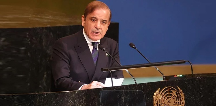 ‘شہباز شریف کی یو این جنرل اسمبلی میں تقریر کو چند ہزار لوگوں نے بھی نہیں دیکھا’