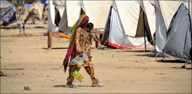 سندھ کے سیلاب زدہ اضلاع میں ڈینگی اور ملیریا سے بچاؤ کے لیے اہم اقدام