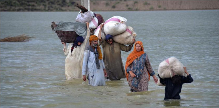 سیلاب سے پاکستانی معیشت کو کتنے ارب ڈالرز کا نقصان ہوا؟