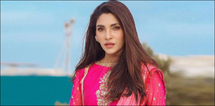 میرا کام میں بالکل دل نہیں لگتا: ژالے سرحدی کی نئی ویڈیو