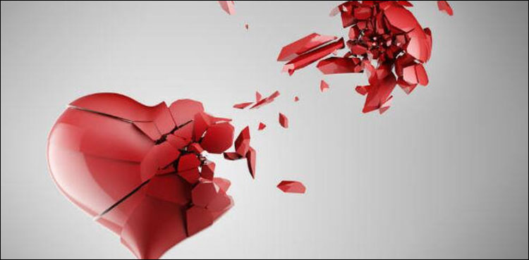 سائنس دانوں نے دل کے خلیات دوبارہ نہ بننے کی وجہ معلوم کر لی