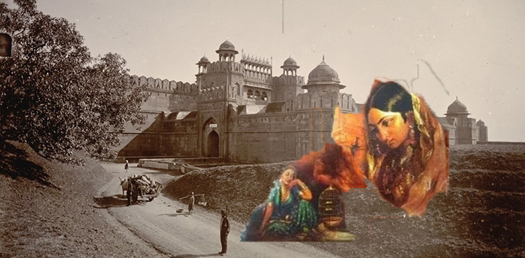 نرگس نظر کی مصیبت