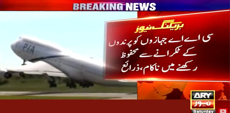 دو مسافر طیارے خوفناک حادثے سے بال بال بچ گئے