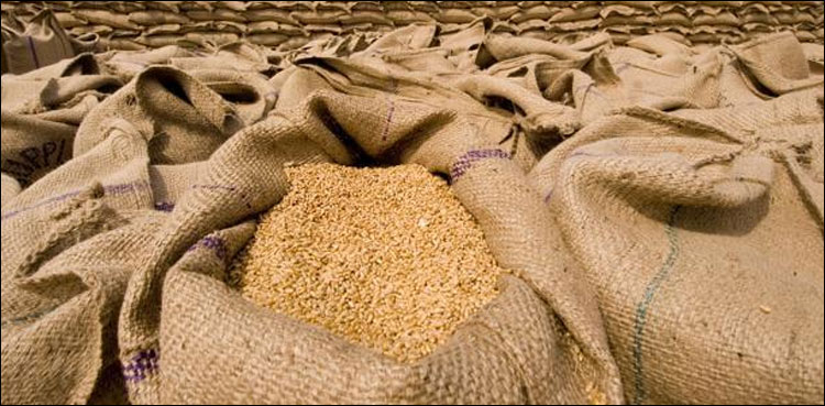 بینکوں سے اربوں روپے کا  قرضہ لیکر گندم کی خریداری، نیب نے انکوائری شروع کردی