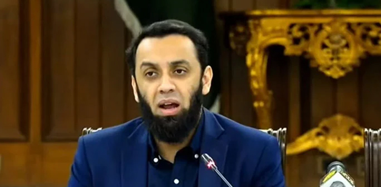 تحریک انصاف ہماری حکومت گرانے کی سکت نہیں رکھتی، عطا تارڑ