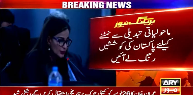 کوپ 27: غریب ممالک کے لیے خوش خبری، موسمیاتی نقصانات کے ازالے کے لیے عالمی فنڈ قائم