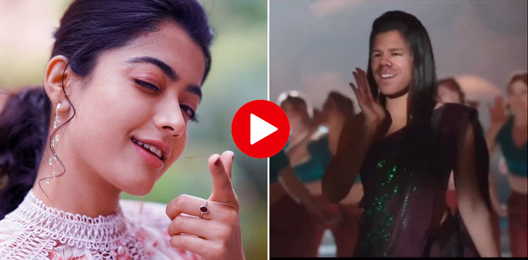 ڈیوڈ وارنر ’رشمیکا مندانہ‘ بن گئے، مزاحیہ ویڈیو وائرل