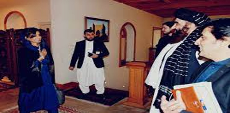 حنا ربانی کھر کا دورہ افغانستان، دفتر خارجہ کا اعلامیہ