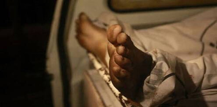 پانی کنکشن کیلئے کھدائی: دو سگے بھائی جان کی بازی ہار گئے
